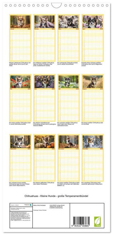 Produktbild: Familienplaner 2026 - Chihuahuas - Kleine Hunde - gro&szlig;e Temperamentb&uuml;ndel mit 5 Spalten (Wandkalender, 21 x 45 cm) CALVENDO