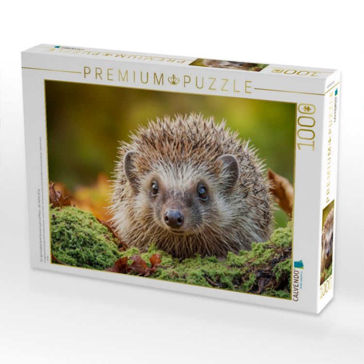 Produktbild: CALVENDO Puzzle Ein Igel krabbelt durch buntes Laub und Moos - der Herbst ist da | 1000 Teile Lege-Gr&ouml;&szlig;e 64x48cm Foto-Puzzle f&uuml;r gl&uuml;ckliche Stunden