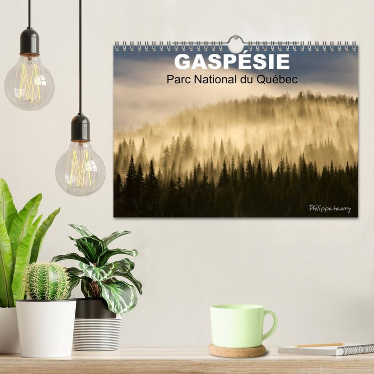 Produktbild: GASP&Eacute;SIE. Parc National du Qu&eacute;bec (Calendrier mural 2026 DIN A4 vertical), CALVENDO calendrier mensuel