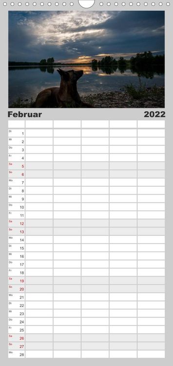 Familienplaner Belgische Schäferhunde - Der Malinois im Licht (Wandkalender 2022 , 21 cm x 45 cm, hoch)