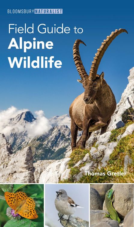 Produktbild: Field Guide to Alpine Wildlife