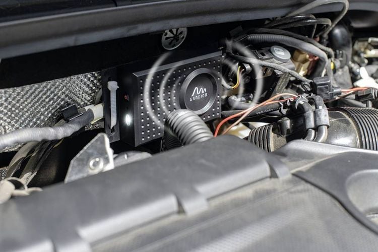 Produktbild: Gardigo Dual Marderabwehr Funktionsart Multifrequenz Wirkungsbereich 60m&sup2; 1St.