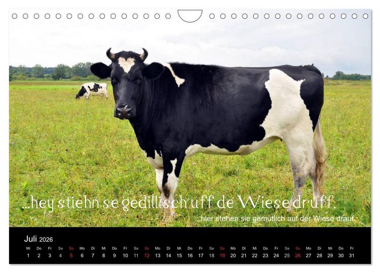 Produktbild: Die Wetterau mit Mundart-Statements (Wandkalender 2026 DIN A4 quer), CALVENDO Monatskalender