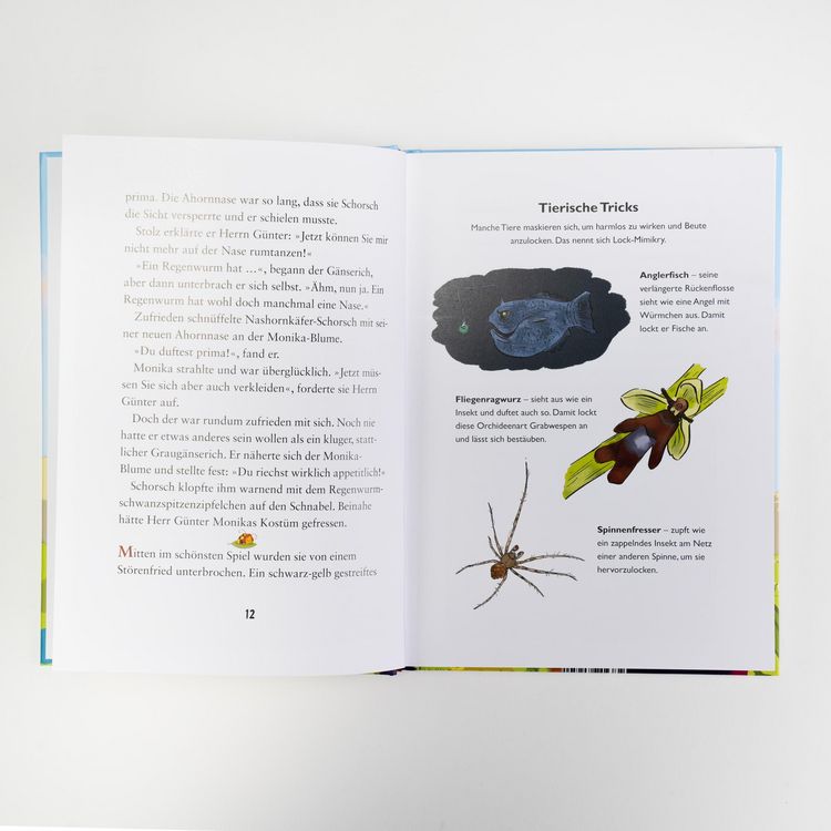 Produktbild: Die kleine Schnecke Monika H&auml;uschen 4: Warum verkleiden sich Tiere?