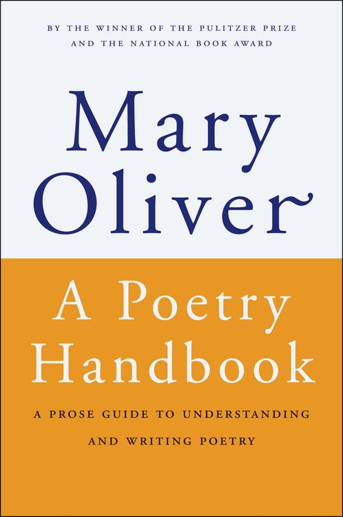 Produktbild: A Poetry Handbook