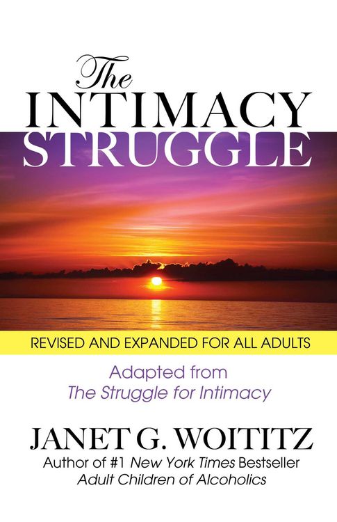 Produktbild: The Intimacy Struggle