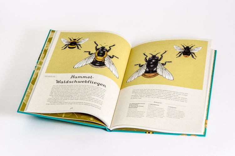 Produktbild: Das Museum der Insekten