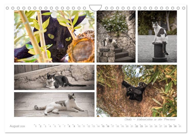 Produktbild: Sehnsucht Provence - Land des Lichts (Wandkalender 2026 DIN A4 quer), CALVENDO Monatskalender