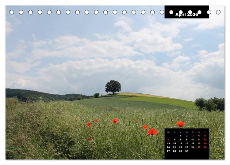 Produktbild: Odenwald Emotionen (Tischkalender 2026 DIN A5 quer), CALVENDO Monatskalender