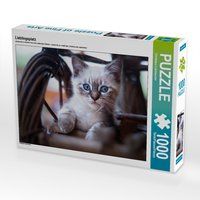 Produktbild: CALVENDO Puzzle Lieblingsplatz 1000 Teile Lege-Gr&ouml;&szlig;e 64 x 48 cm Foto-Puzzle Bild von Christiane Calmbacher