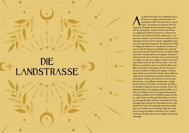 Produktbild: Kr&auml;uterkraft & Hexenmacht