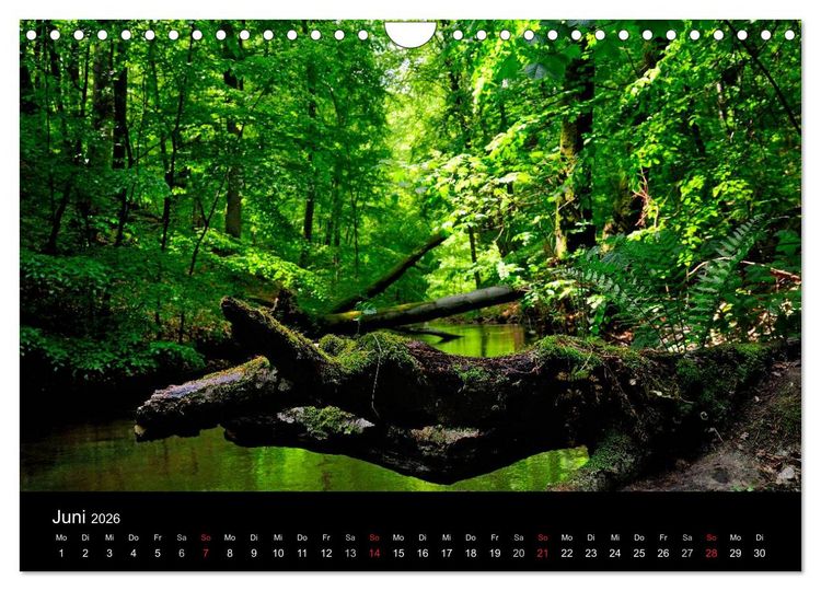 Produktbild: Wasserwandern in Mecklenburg-Vorpommern (Wandkalender 2026 DIN A4 quer), CALVENDO Monatskalender