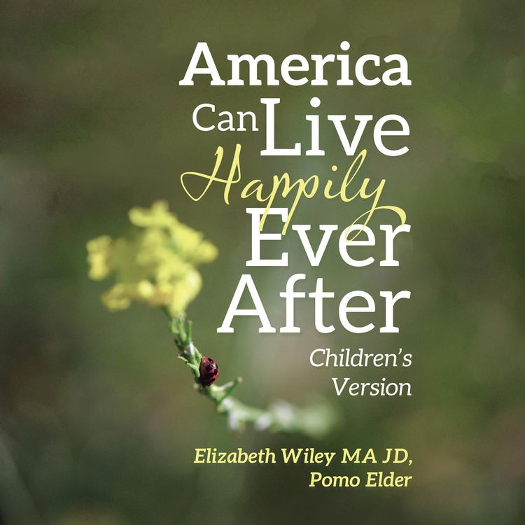 Produktbild: America Can Live Happily Ever After