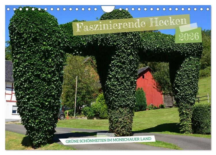 Produktbild: Faszinierende Hecken - Gr&uuml;ne Sch&ouml;nheiten im Monschauer Land (Wandkalender 2026 DIN A4 quer), CALVENDO Monatskalender