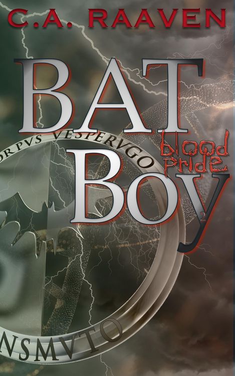 Produktbild: BAT Boy 2