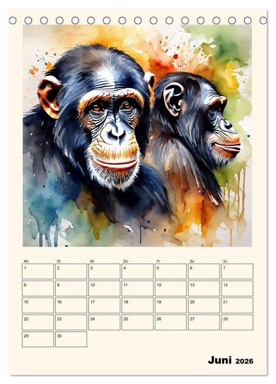 Produktbild: Schimpansen & Gorillas (Tischkalender 2026 DIN A5 hoch), CALVENDO Monatskalender