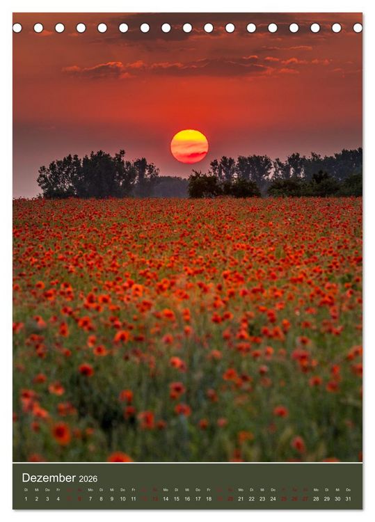 Produktbild: Mohnblumen - kraftvoll und zart (Tischkalender 2026 DIN A5 hoch), CALVENDO Monatskalender