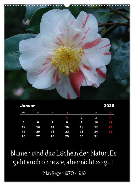 Produktbild: Spr&uuml;che und Zitate ber&uuml;hmter Personen &uuml;ber Blumen und Natur (Wandkalender 2026 DIN A2 hoch), CALVENDO Monatskalender