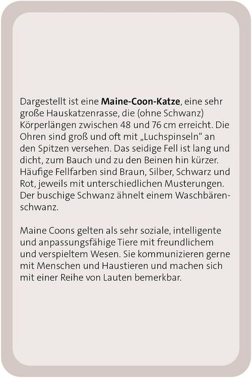 Produktbild: Das gro&szlig;e Katzen Quiz
