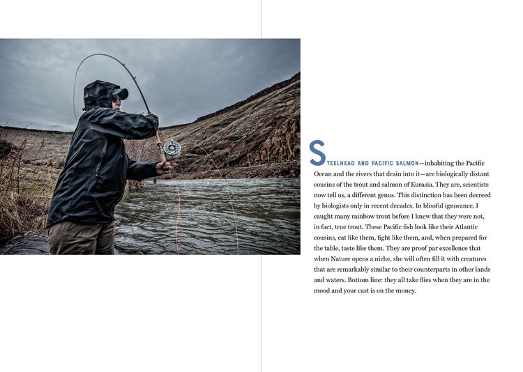 Produktbild: The Catch of a Lifetime