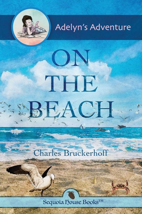 Produktbild: Adelyn's Adventure on the Beach