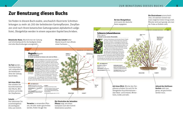 Produktbild: Gartenwissen Pflanzenschnitt