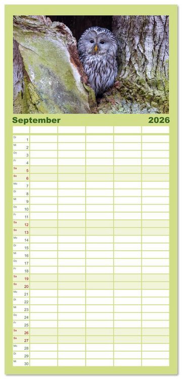 Produktbild: Familienplaner 2026 - Eulen - Fl&uuml;gel der Nacht mit 5 Spalten (Wandkalender, 21 x 45 cm) CALVENDO