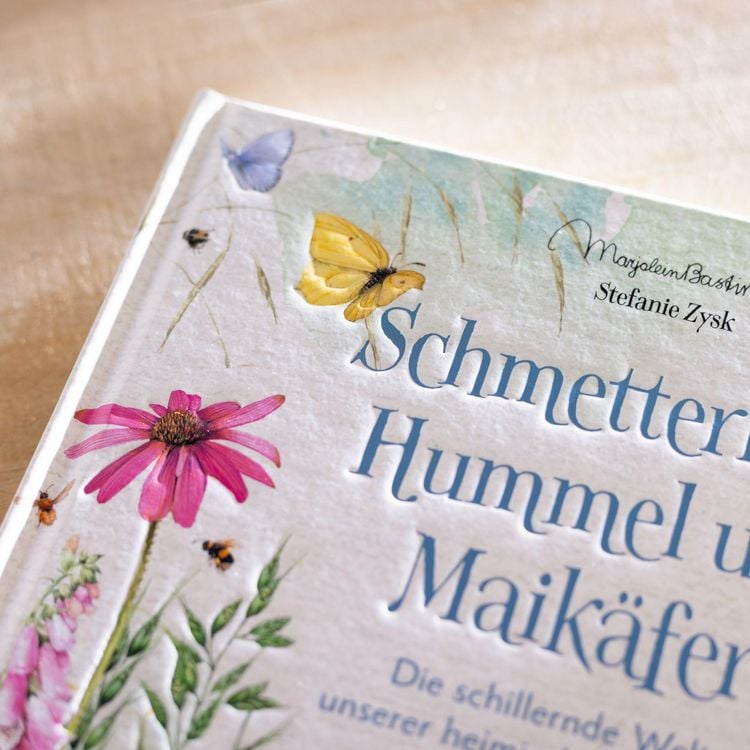 Produktbild: Schmetterling, Hummel und Maik&auml;fer