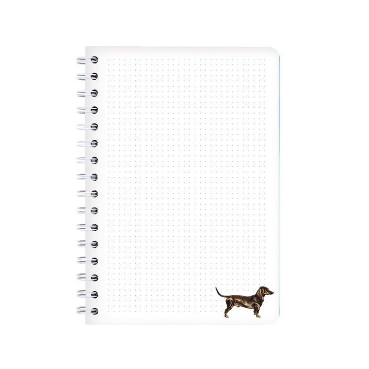 Produktbild: Ringbuch A5 Bello