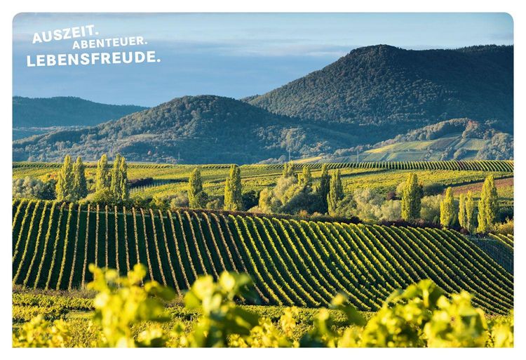 Produktbild: 52 kleine & gro&szlig;e Eskapaden in der Pfalz