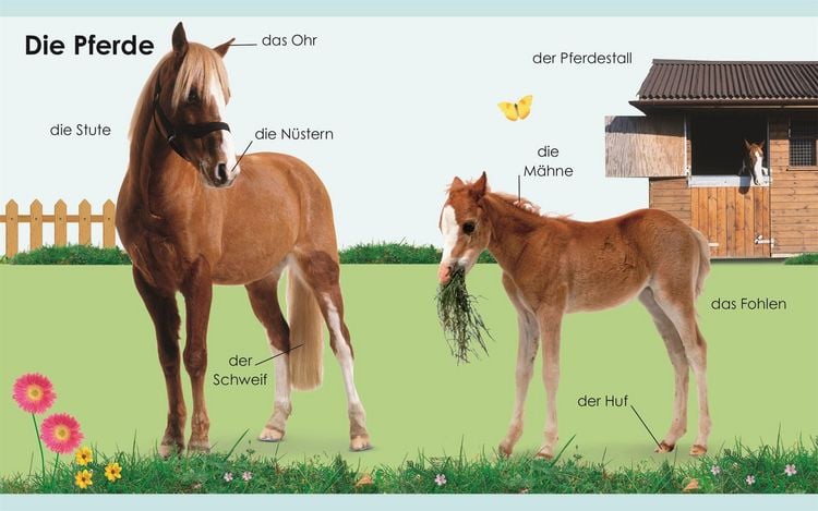 Produktbild: Erstes Lernen mini. Bauernhof