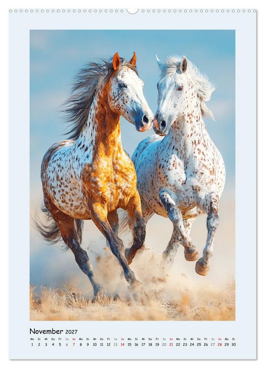 Produktbild: Der Appaloosa. Ein zuverl&auml;ssiges Westernpferd in bunter Optik (hochwertiger Premium Wandkalender 2027 DIN A2 hoch), Kunstdruck in Hochglanz