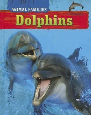 Produktbild: Dolphins
