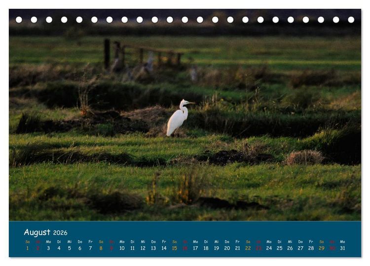Produktbild: Naturschutzgebiet W&uuml;mme (Tischkalender 2026 DIN A5 quer), CALVENDO Monatskalender