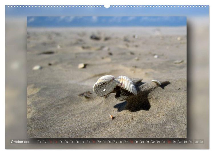 Produktbild: Baltrum - Ein Tag am Strand (hochwertiger Premium Wandkalender 2026 DIN A2 quer), Kunstdruck in Hochglanz