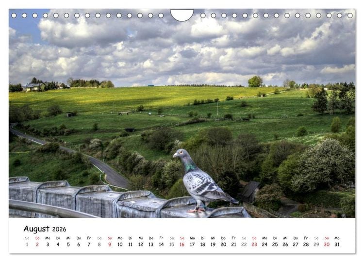 Produktbild: Die sch&ouml;nsten Orte der Eifel - Reifferscheid (Wandkalender 2026 DIN A4 quer), CALVENDO Monatskalender