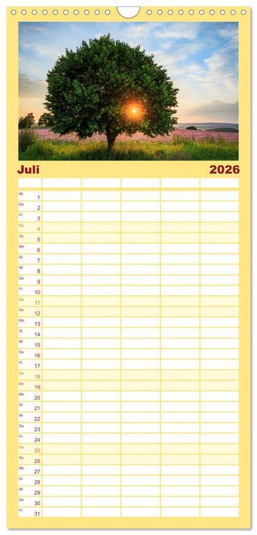 Produktbild: Familienplaner 2026 - Sonnige Augenblicke mit 5 Spalten (Wandkalender, 21 x 45 cm) CALVENDO