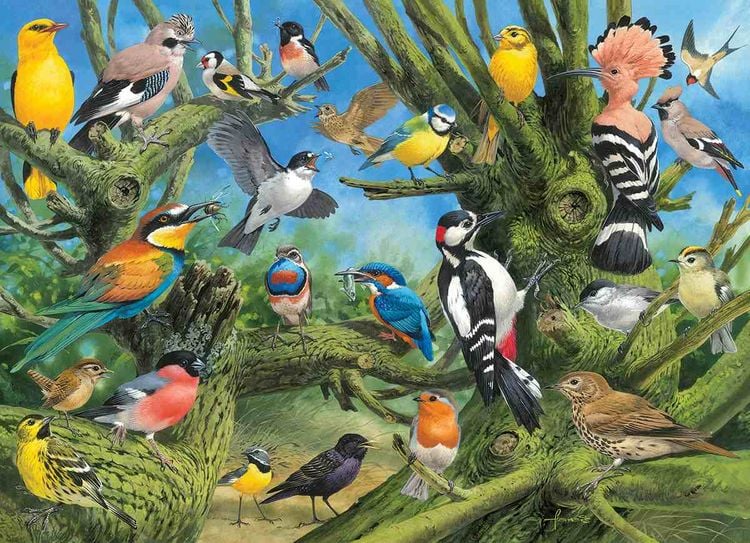 Produktbild: Garden Birds 1000pc Puzzle
