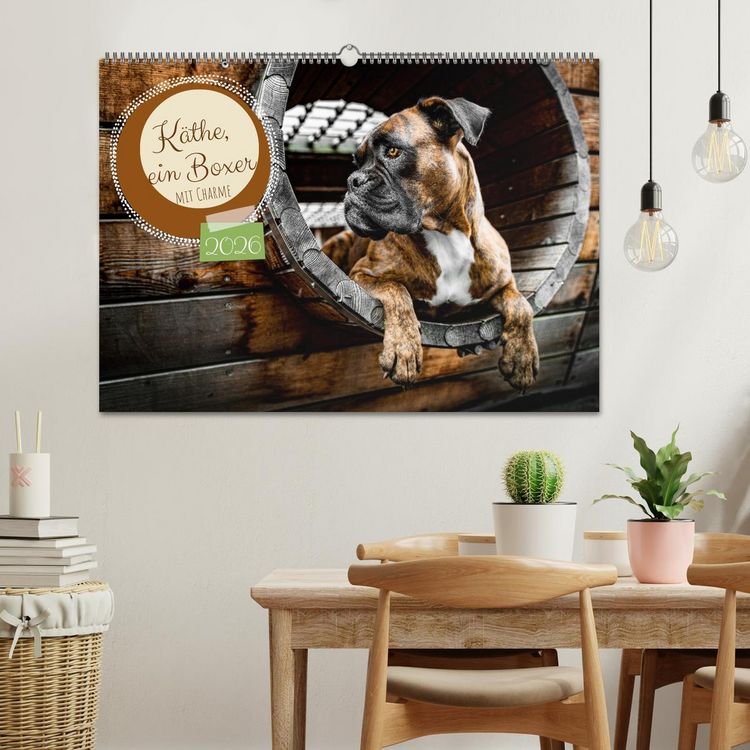 Produktbild: K&auml;the - ein Boxer mit Charme (Wandkalender 2026 DIN A2 quer), CALVENDO Monatskalender