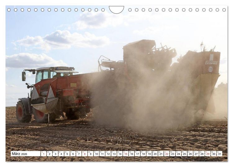 Produktbild: Kartoffel-Ernte - hautnah erleben (Wandkalender 2026 DIN A4 quer), CALVENDO Monatskalender