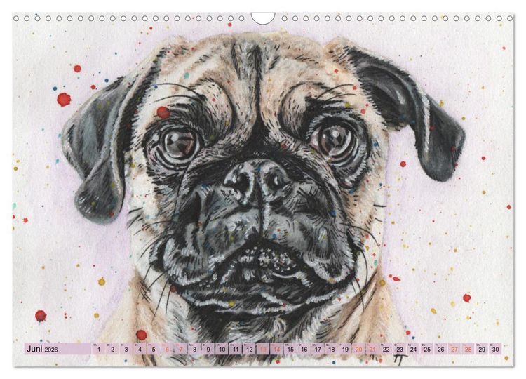 Produktbild: Hundeportr&auml;ts in Aquarell (Wandkalender 2026 DIN A3 quer), CALVENDO Monatskalender