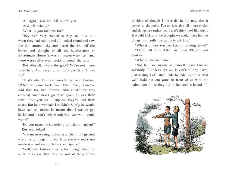 Produktbild: CHRONICLES OF NARNIA-SILVER_HB
