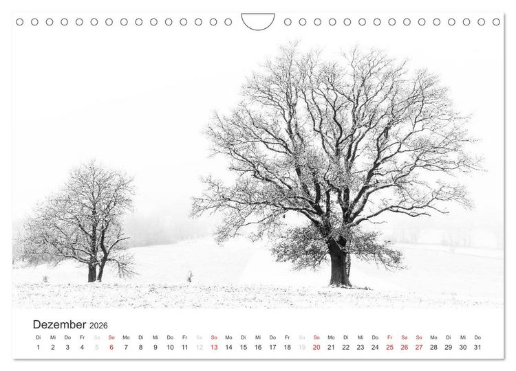 Produktbild: B&auml;ume - Natursch&ouml;nheiten in schwarz-wei&szlig; (Wandkalender 2026 DIN A4 quer), CALVENDO Monatskalender