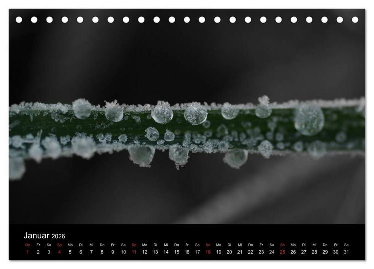 Produktbild: schwarz/wei&szlig; trifft farbe (Tischkalender 2026 DIN A5 quer), CALVENDO Monatskalender