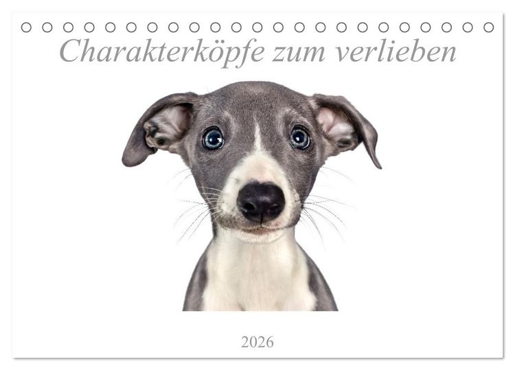 Produktbild: Charakterk&ouml;pfe zum verlieben (Tischkalender 2026 DIN A5 quer), CALVENDO Monatskalender