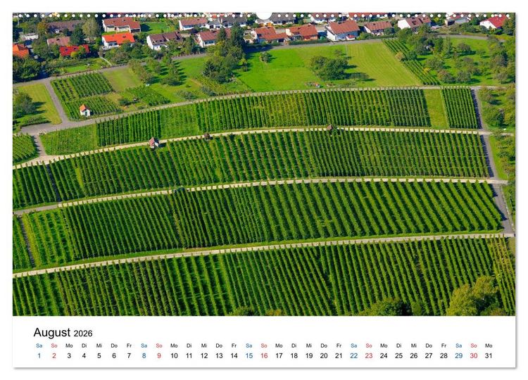 Produktbild: W&uuml;rttemberger Wein 2026 (hochwertiger Premium Wandkalender 2026 DIN A2 quer), Kunstdruck in Hochglanz