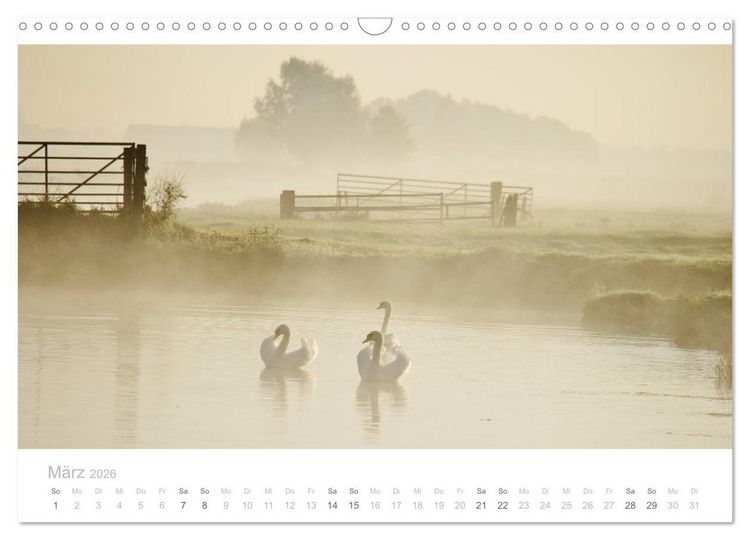 Produktbild: Polderlandschaften in Holland (Wandkalender 2026 DIN A3 quer), CALVENDO Monatskalender