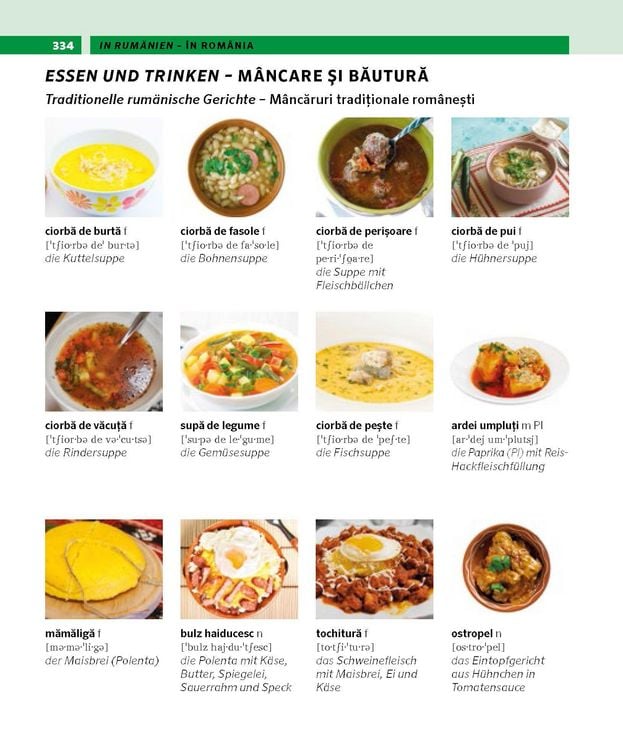 Produktbild: PONS Bildw&ouml;rterbuch Rum&auml;nisch