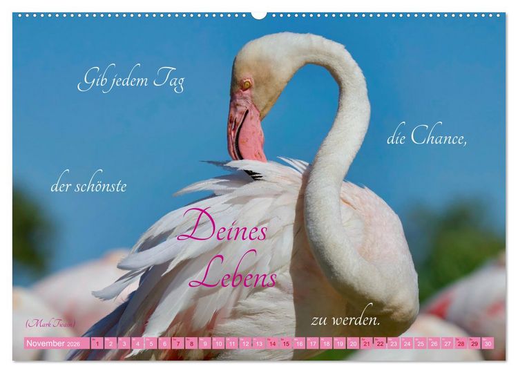 Produktbild: The Power Of Pink (hochwertiger Premium Wandkalender 2026 DIN A2 quer), Kunstdruck in Hochglanz