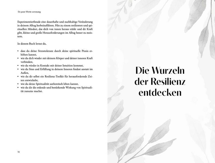 Produktbild: Spirituelle Resilienz &ndash; Gelassen Herausforderungen begegnen